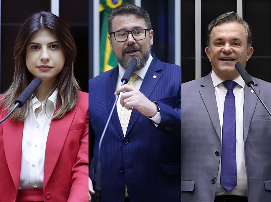 Deputados federais: Camila Jara (PT), Marcos Pollon (PL) e Vander Loubet (PT)