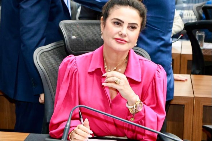 A deputada estadual Mara Caseiro (PSDB)