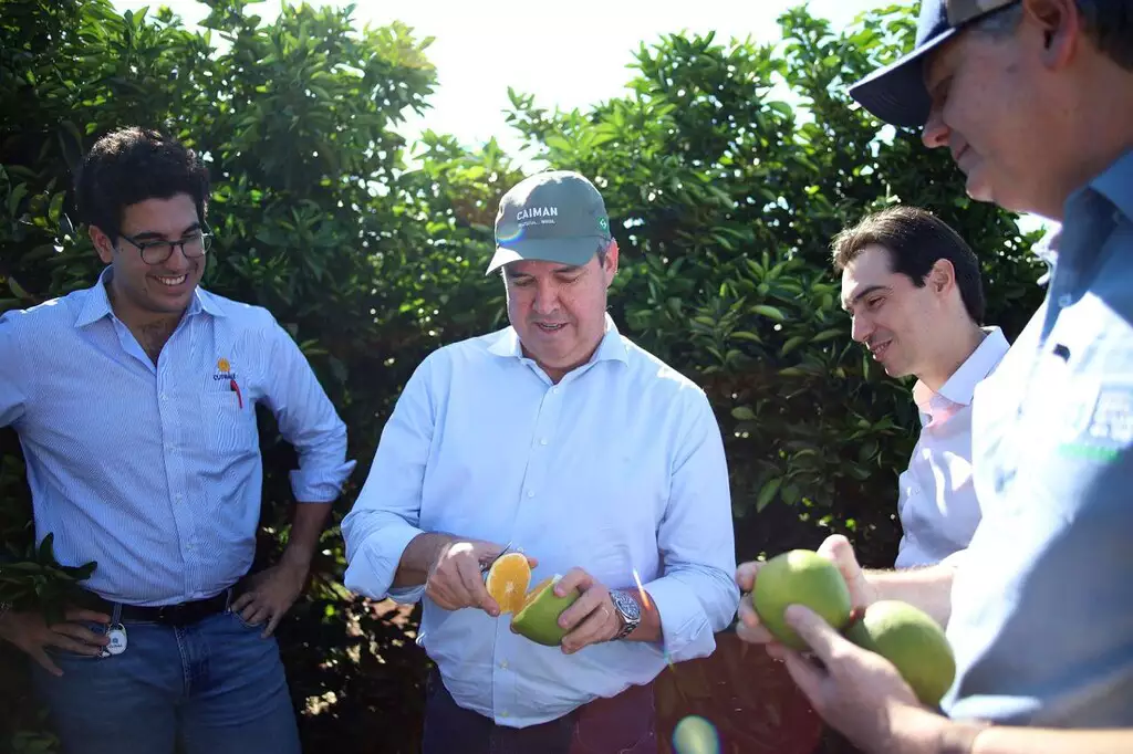 O governador Eduardo Riedel descasca uma laranja durante visita à Fazenda Aracoara, celebrando os avanços da citricultura em Mato Grosso do Sul.