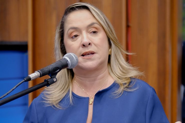 Deputada Estadual Lia Nogueira