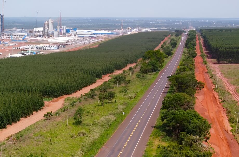 Trecho da BR-262, que integra o pacote da Rota da Celulose, será concedido à iniciativa privada por 30 anos.
