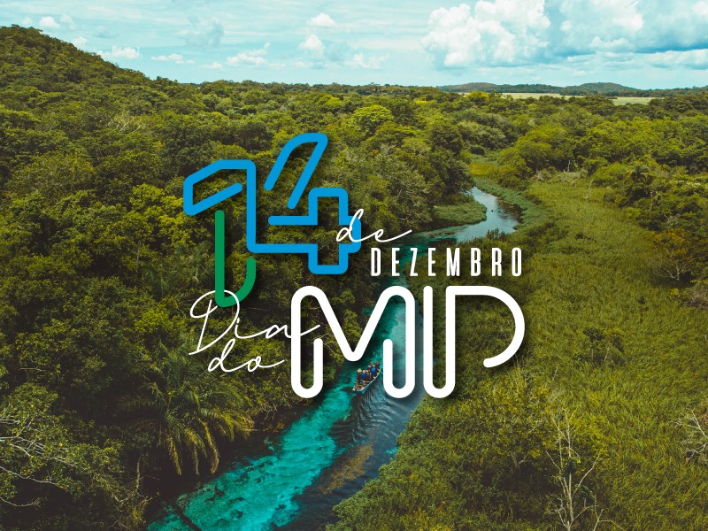 MPMS celebra resultados alcançados em 2024