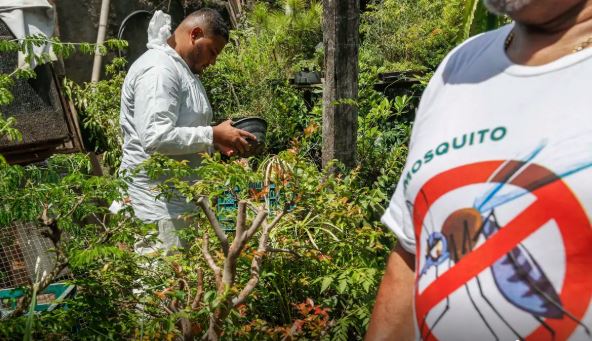 Brasil tem mais de 6,5 milhões de casos prováveis de dengue este ano