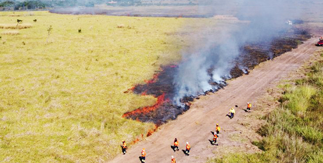 Campanha Fogo Zero é lançada em MS com foco na prevenção de queimadas e capacitação de brigadistas rurais.