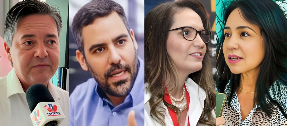Ademar Silva Junior (Semades), Leandro Basmage (Agetec), Andréa Alves F. Rocha (Semadi), Márcia Helena Hokama (Sefaz)