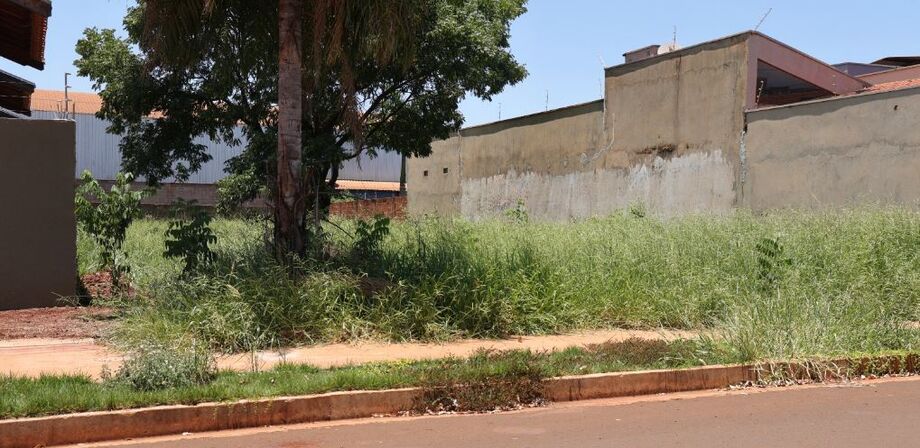 Limpeza de terrenos baldios é essencial para saúde e segurança em Dourados.