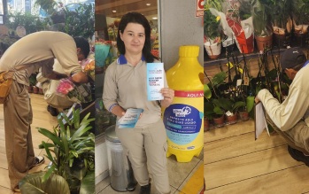 Prefeitura e Rede Comper lançam campanha Anti-Mosquito em Campo Grande, com ações educativas e vistorias nas lojas até março.