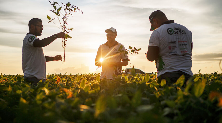 Técnicos do Rally da Safra avaliam lavouras afetadas pela estiagem no MS.