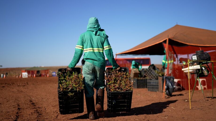 MS Florestal realiza mutirão em Itapura para contratar trabalhadores para Bataguassu, com vagas para diversas funções e benefícios atrativos
