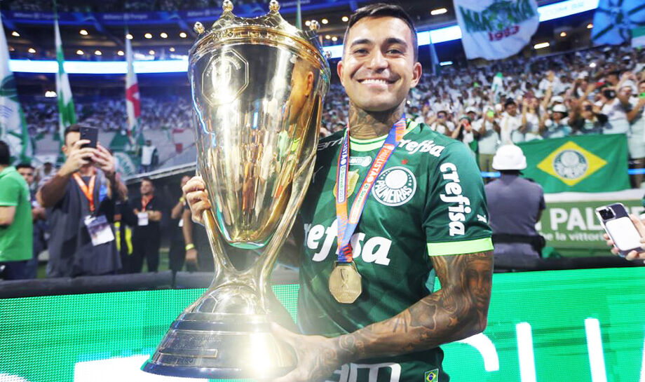 Dudu atuou cinco anos no Palmeiras, durante período em que o clube passou a adotar o gramado sintético