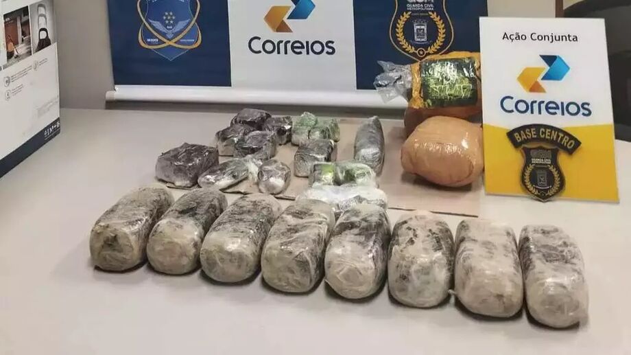 Guarda Civil intercepta 10 kg de maconha dry nos Correios de Campo Grande. Droga refinada, avaliada em R$ 2,5 milhões, tem alto teor de THC.