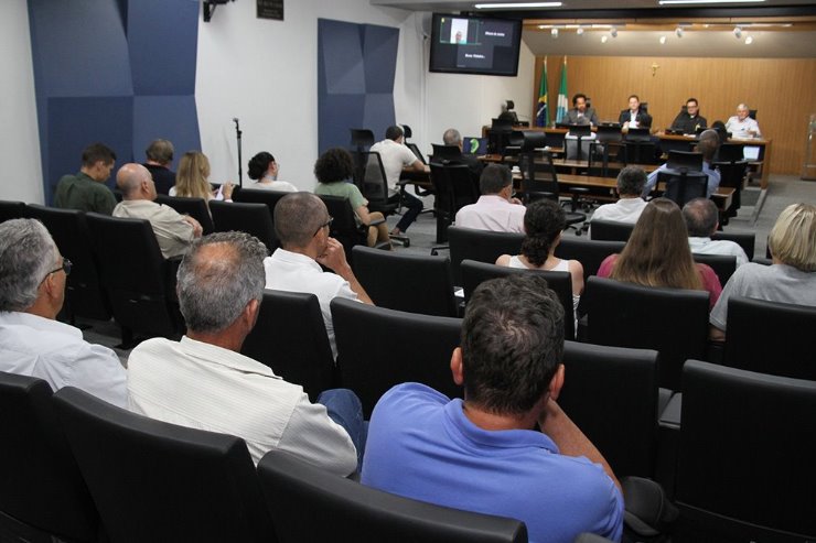 Parlamento e representantes argumentaram algumas soluções para mitigar os impactos causados pela plantação de eucaliptos