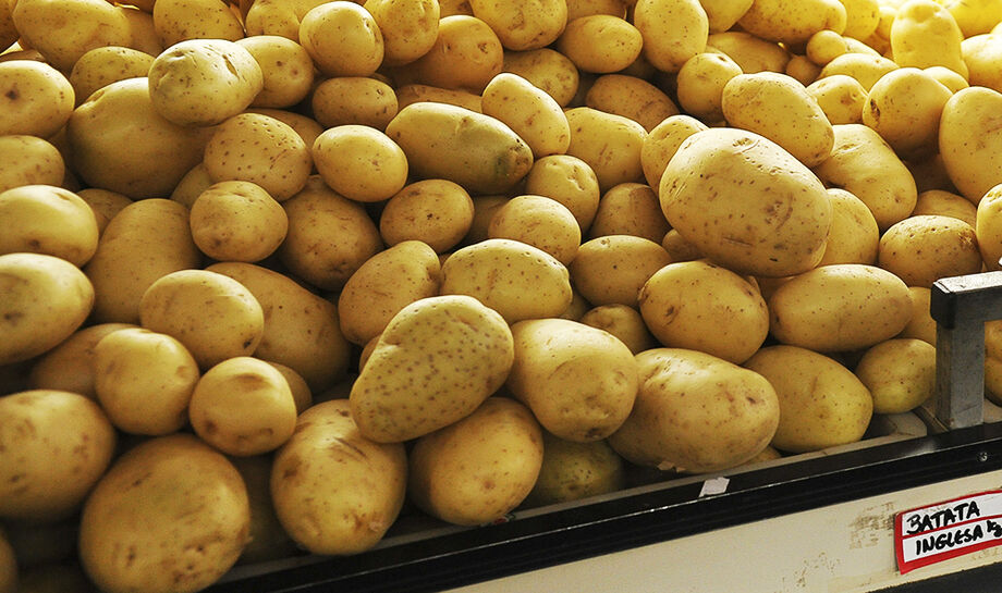 A batata liderou a alta dos alimentos em Campo Grande, com aumento de 14,18%, elevando o custo da cesta básica para R$ 773,95.