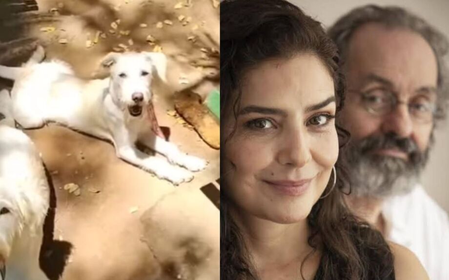 Daniel Dantas se pronuncia sobre caso de cães doados sem seu consentimento.
