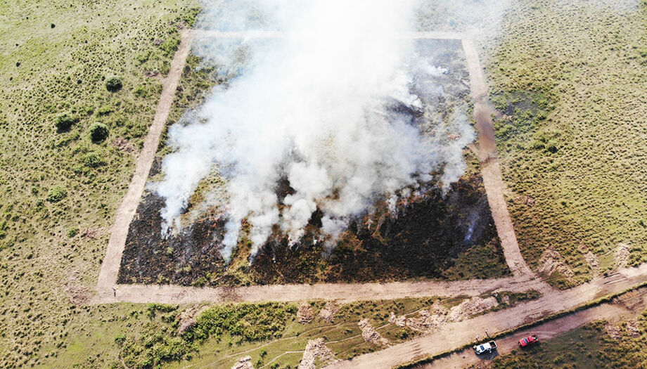 Pesquisadores estudam os impactos do fogo no Pantanal para definir estratégias de manejo e evitar grandes incêndios.
