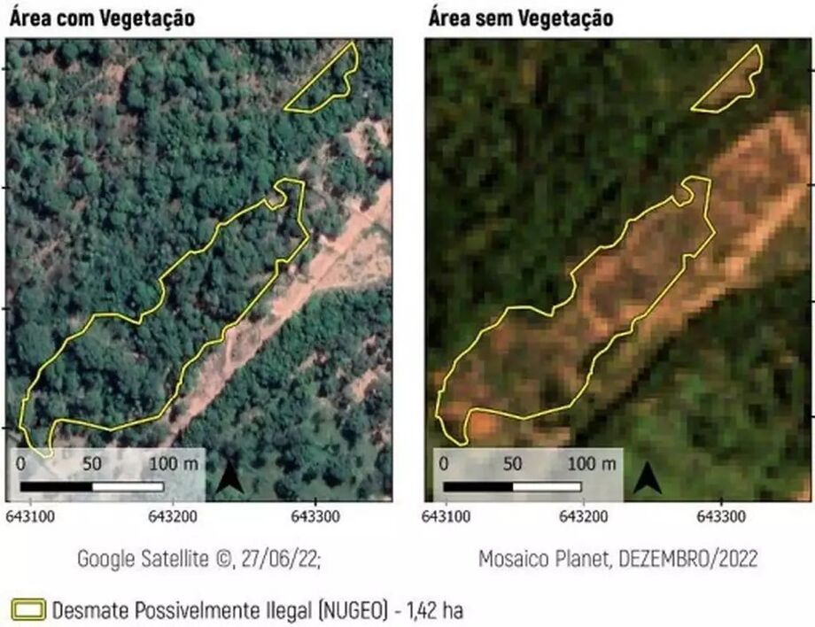 Ministério Público apura supressão ilegal de Cerrado em área de vinícola em Aquidauana