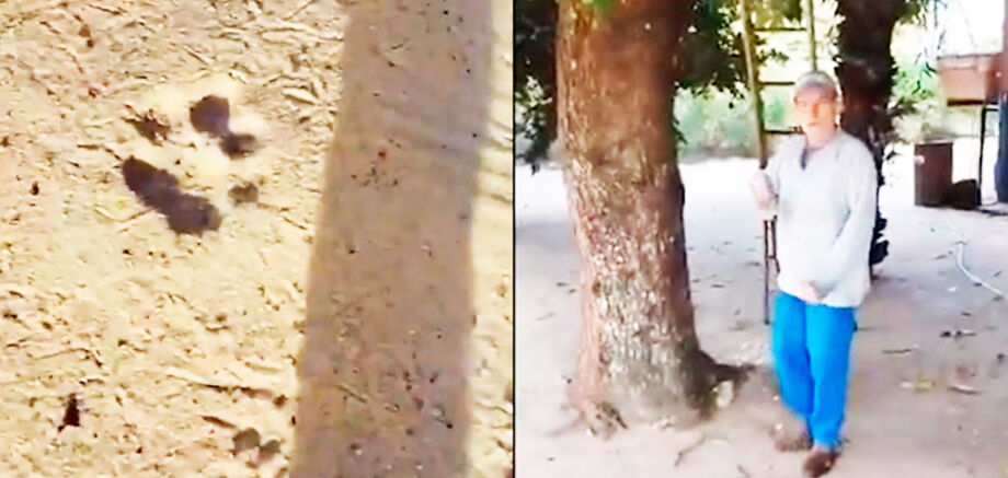 Caseiro de 60 anos foi encontrado morto após ser atacado por uma onça-pintada na região isolada de Touro Morto, localizada no município de Aquidauana, no Mato Grosso do Sul.