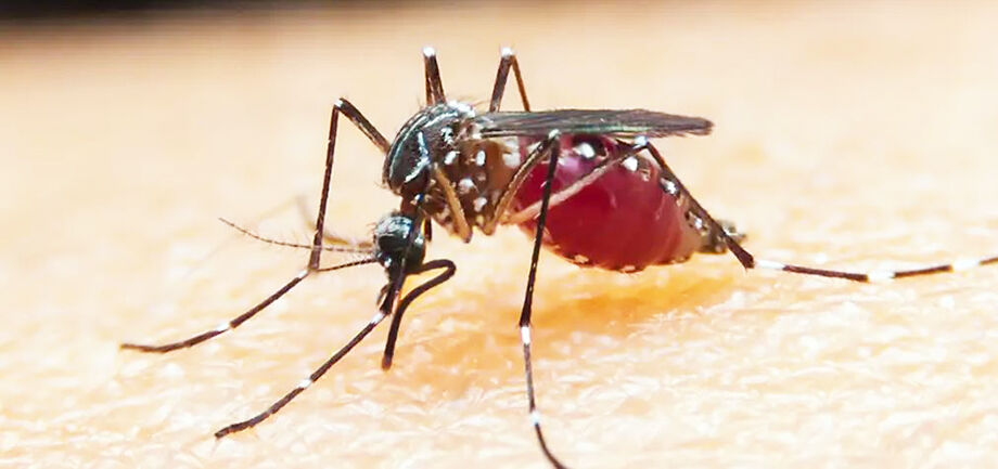 Aplicação de inseticida é uma das ações para controlar mosquitos transmissores da malária, doença que ainda ameaça regiões além da Amazônia.