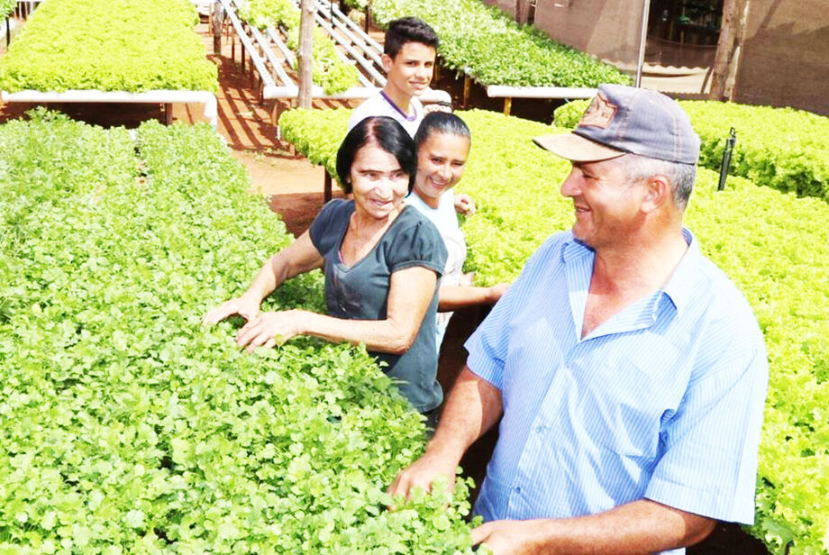 Ministro diz que aumento no crédito à agricultura familiar já provoca queda nos preços de alimentos e ajuda a conter a inflação.