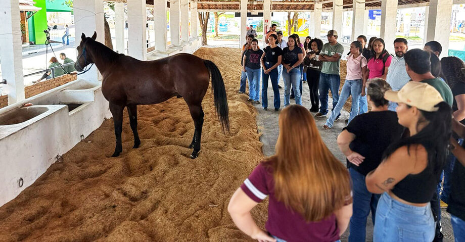 A iniciativa organizada pela Secretaria Especial de Articulação Regional (SEAR) e Subsecretaria do Bem-Estar Animal (Subea), reuniu aproximadamente 40 estudantes do curso de Medicina Veterinária