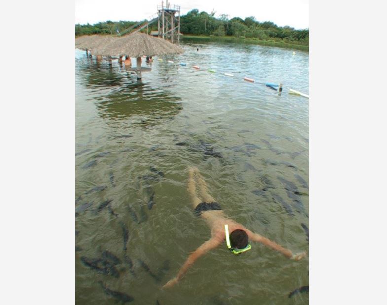 Nadar entre peixes é uma das atrações da Praia da Figueira, em Bonito.