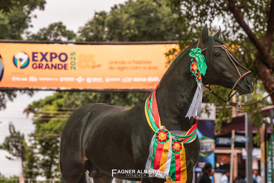Exposição Passaporte de Outono 2025 na Expogrande'