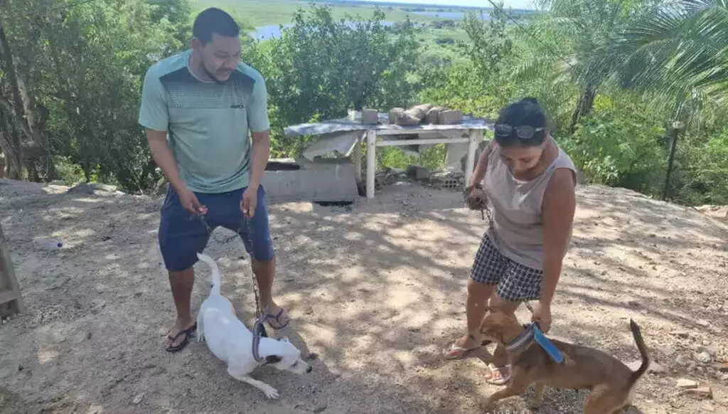 As cadelas Leona (à esquerda) e Ana (à direita) ao lado dos tutores, em Corumbá, após enfrentarem uma onça-pintada no quintal da casa