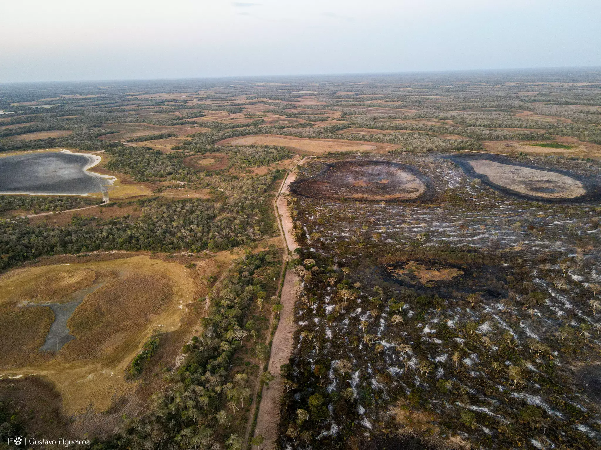 Área queimada no Pantanal preocupa especialistas em ano com previsão de estiagem severa