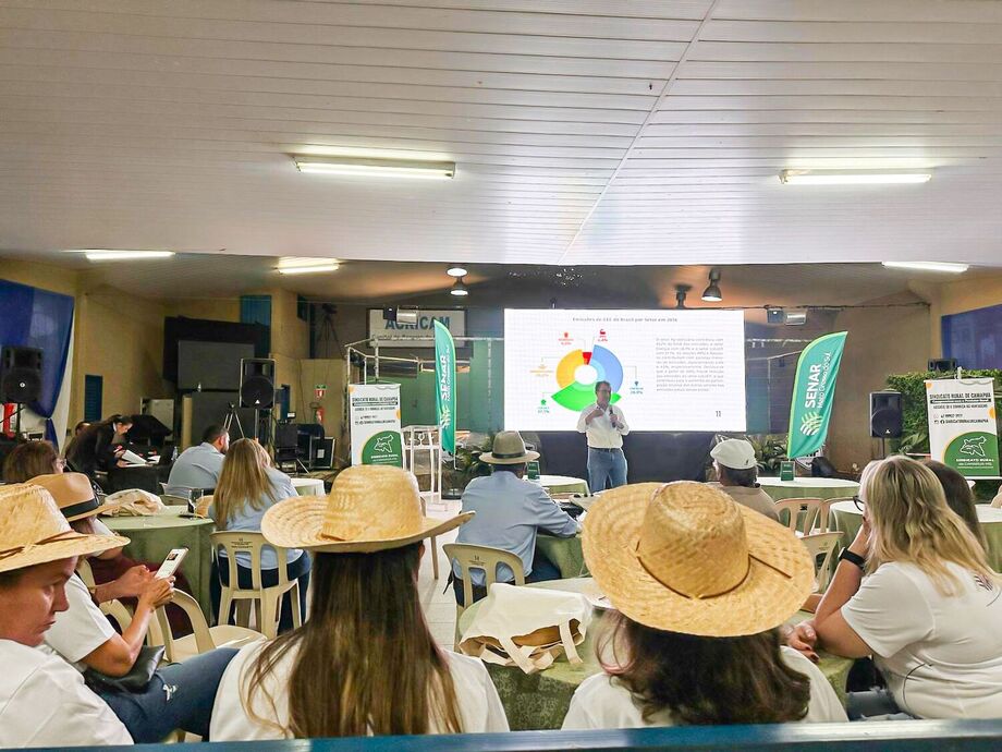 Como Camapuã se tornou exemplo na pecuária com união, informação e apoio técnico