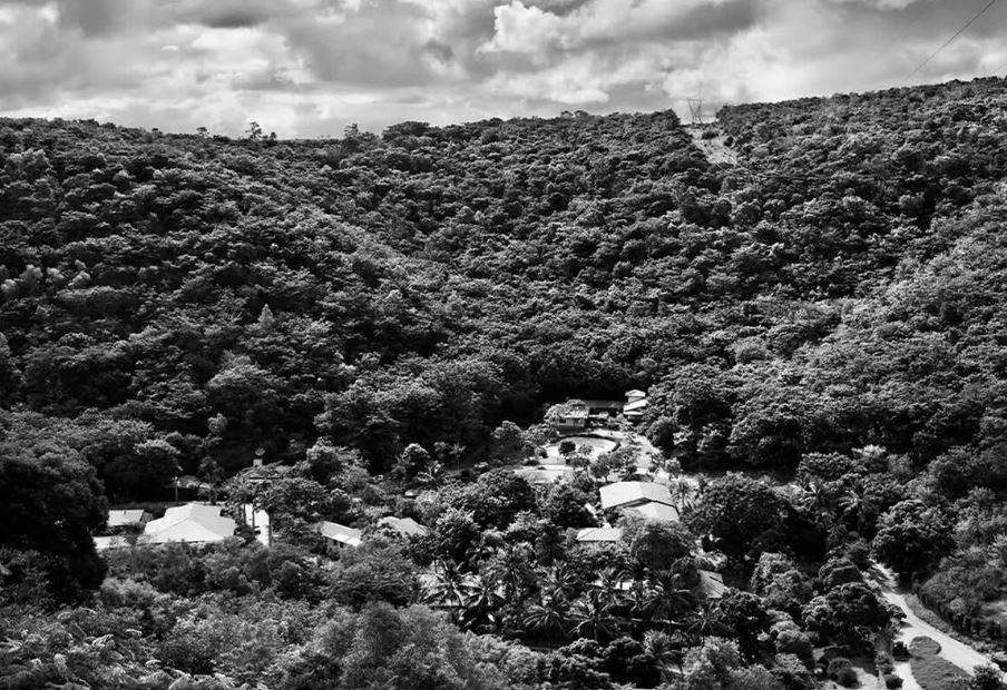 Fazenda Bulcao em Aimorés no ano de 2013, após ter a floresta restaurada pelo fotografo Sebastiao Salgado e sua esposa Lelia