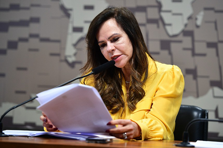 Dorinha propôs homenagear empresa que nasceu em Cataguases (MG) e hoje atua em 24 estados