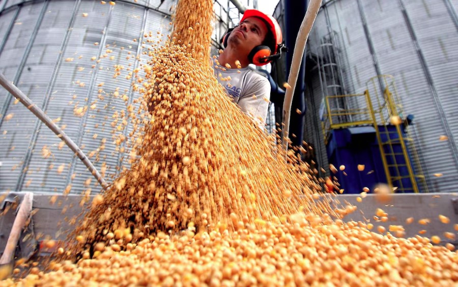 Desempenho da soja ajudou o agro e a economia no primeiro trimestre