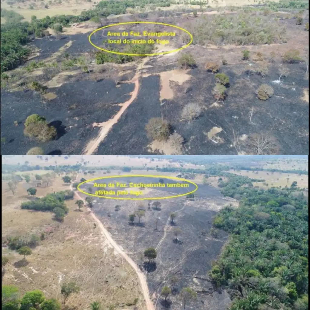 Laudo da PMA traz imagens das fazendas atingidas pelo fogo
