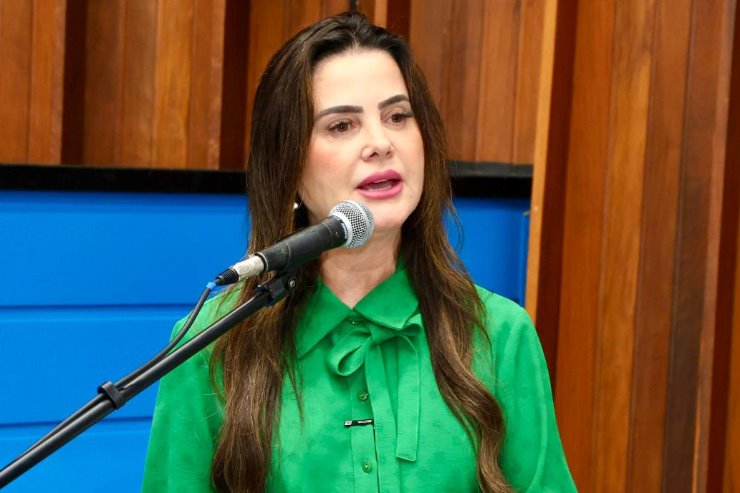 A deputada estadual Mara Caseiro (PSDB)