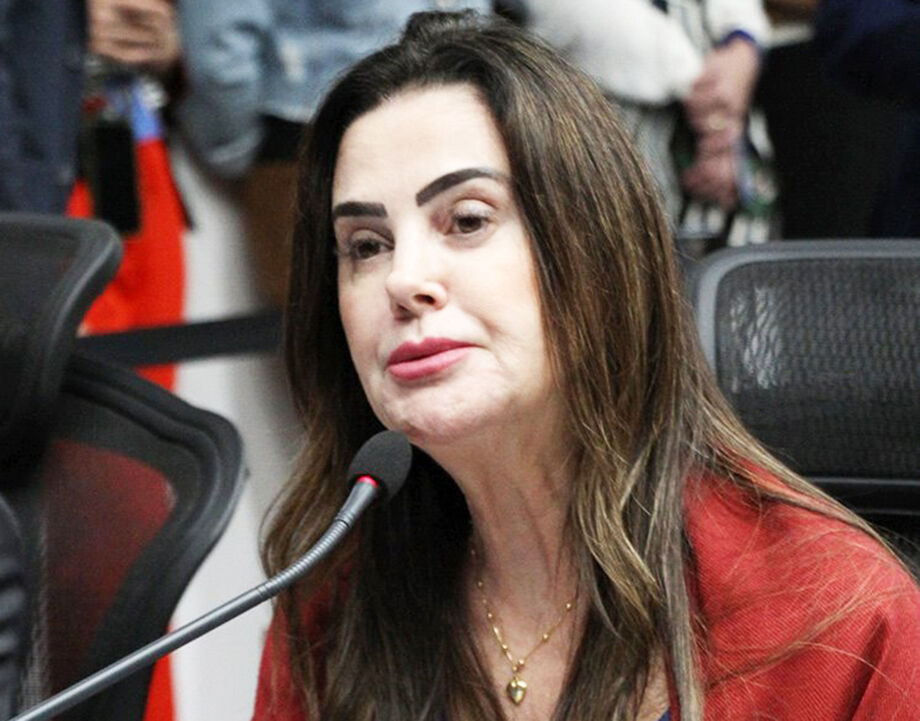 Entre os destaques da pauta, está o Projeto de Lei 9/2024, de autoria da deputada Mara Caseiro (PSDB), que busca reforçar a divulgação do protocolo Não é Não no estado.