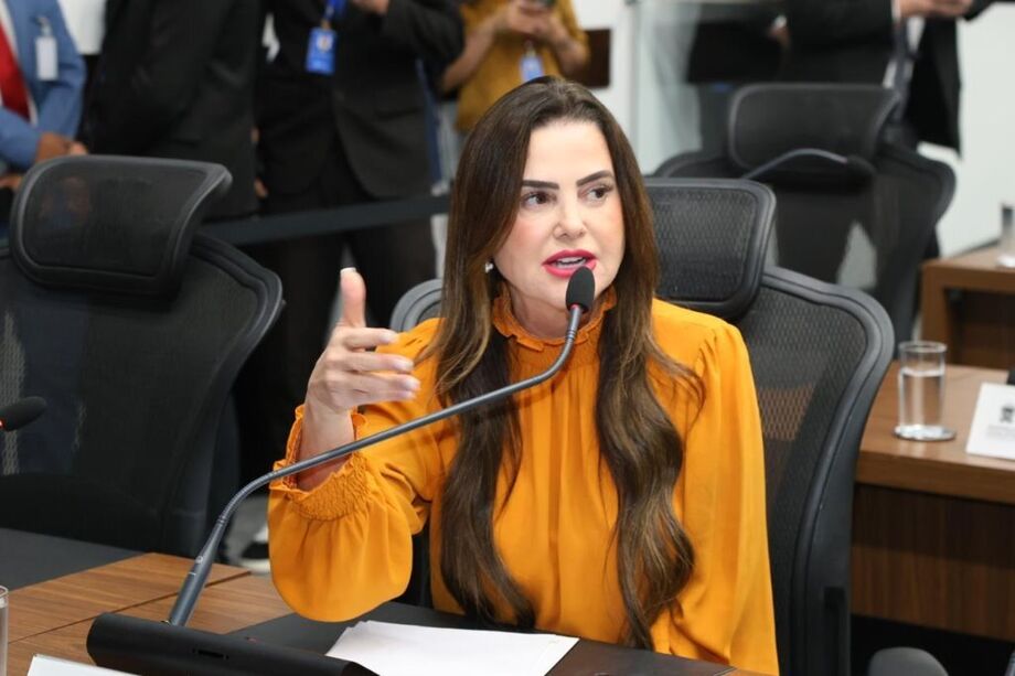 Para deputada Mara, iniciativa visa celebrar compromisso com a educação cidadã e a democracia