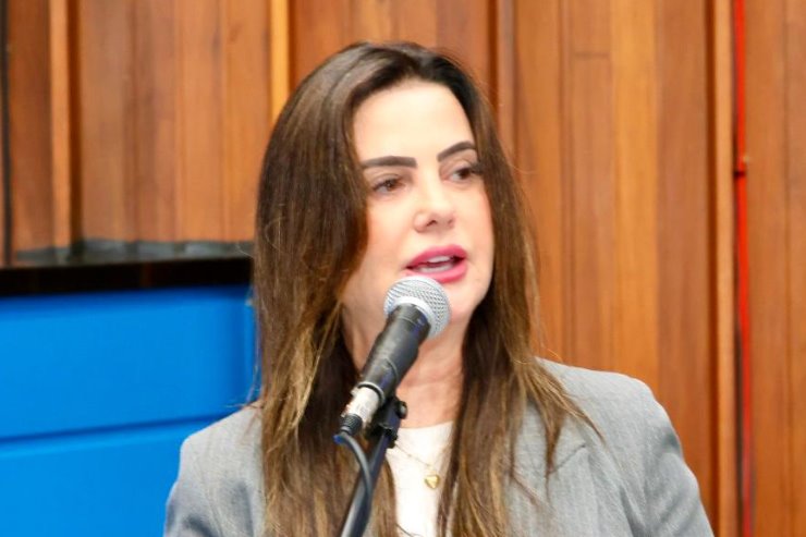 A deputada estadual Mara Caseiro (PSDB)
