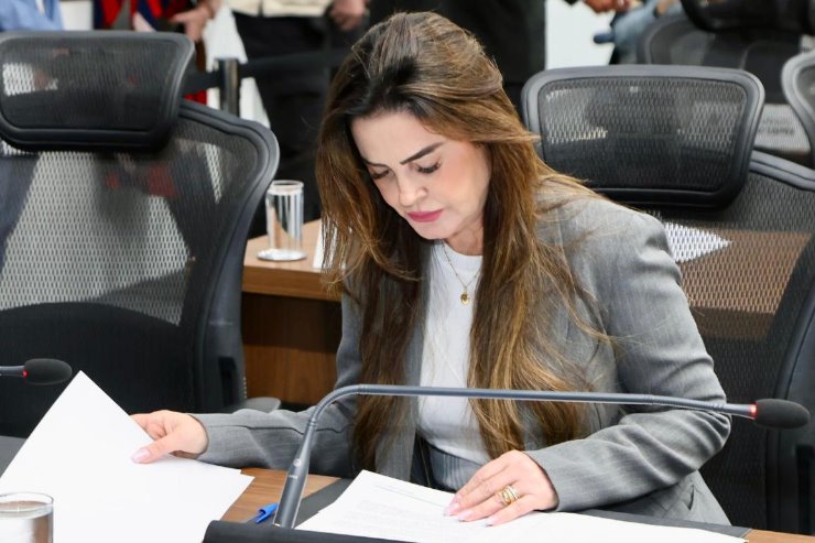 A deputada estadual Mara Caseiro (PSDB)