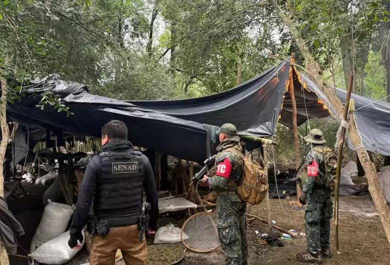 Além das plantações, os policiais encontraram estruturas improvisadas utilizadas como alojamentos para trabalhadores