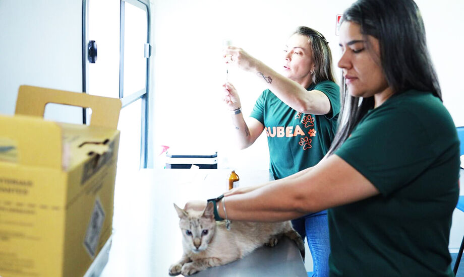 Consultório móvel atende pets com consultas e vacinas gratuitas em cinco bairros de Campo Grande em julho.