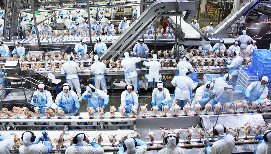 Produção industrial em Mato Grosso do Sul tem alta nas exportações com liderança dos setores de celulose, carnes e derivados da soja