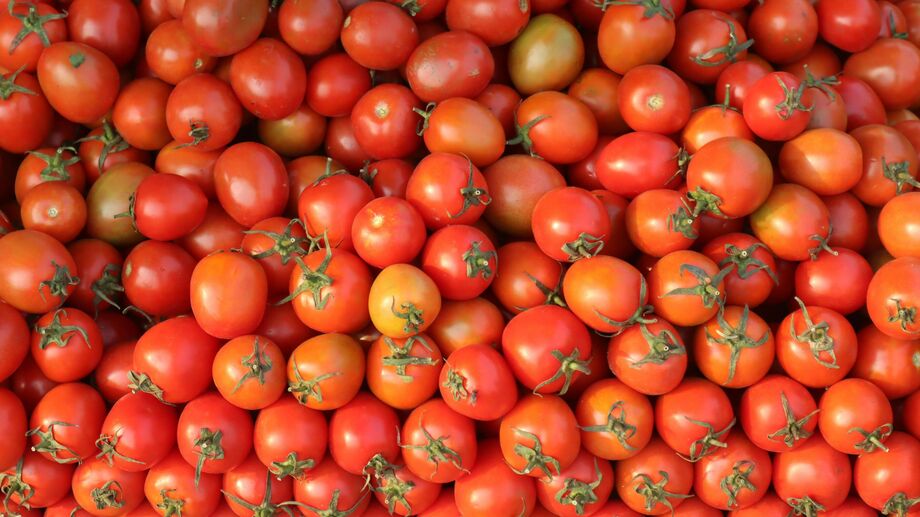 Apesar do recuo de 14,79% no preço do tomate, cebola, alface, batata e cenoura apresentam variações positivas em maio.