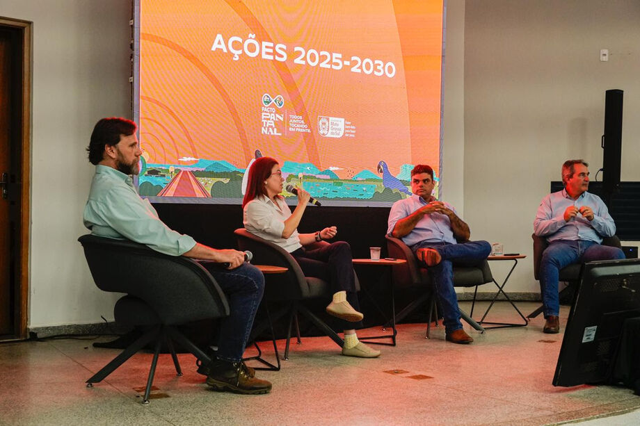 Levantamento detalha os desafios e as oportunidades do Pantanal e mostra como o bioma pode crescer sem destruir a natureza.