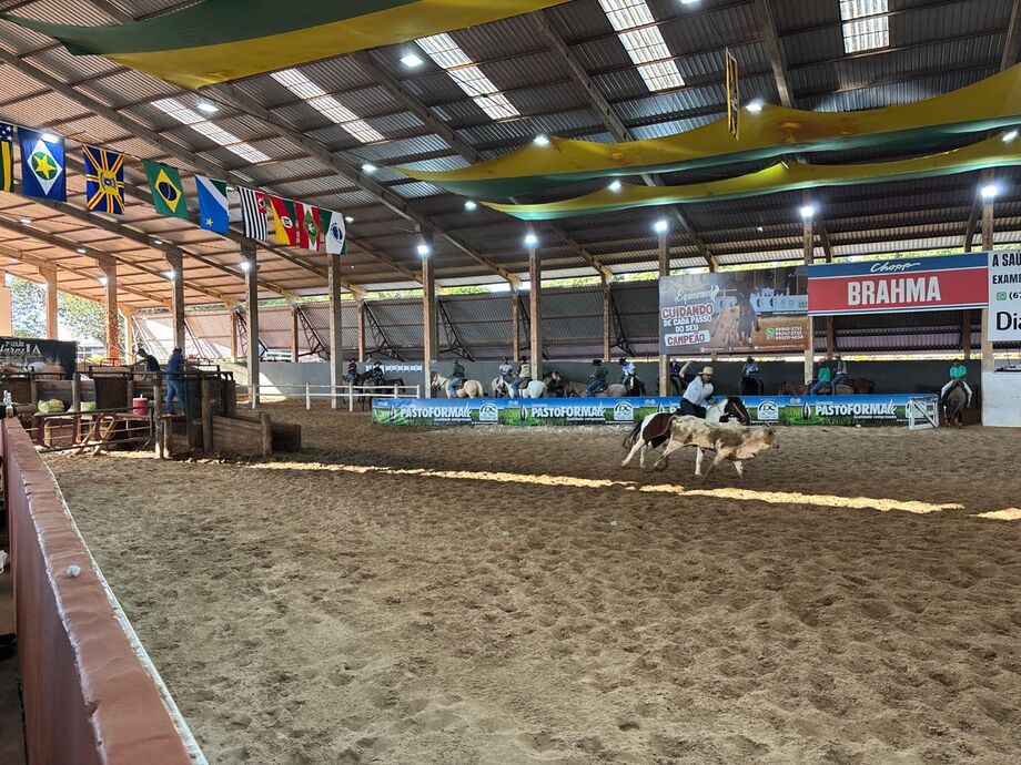 Prova de laço mostra como o Cavalo Pantaneiro virou símbolo da tradição graças a Luciano Barros