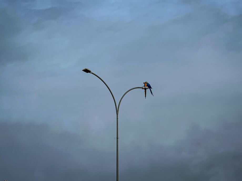 Campo Grande amanheceu com o céu parcialmente nublado e clima ameno