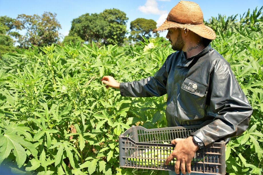 Campo Grande cria Selo da Agricultura Familiar para valorizar produção local