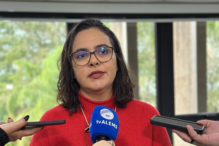 A deputada estadual Gleice Jane (PT)