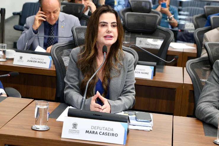 A deputada estadual Mara Caseiro (PSDB)