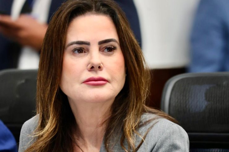 A deputada estadual Mara Caseiro (PSDB)