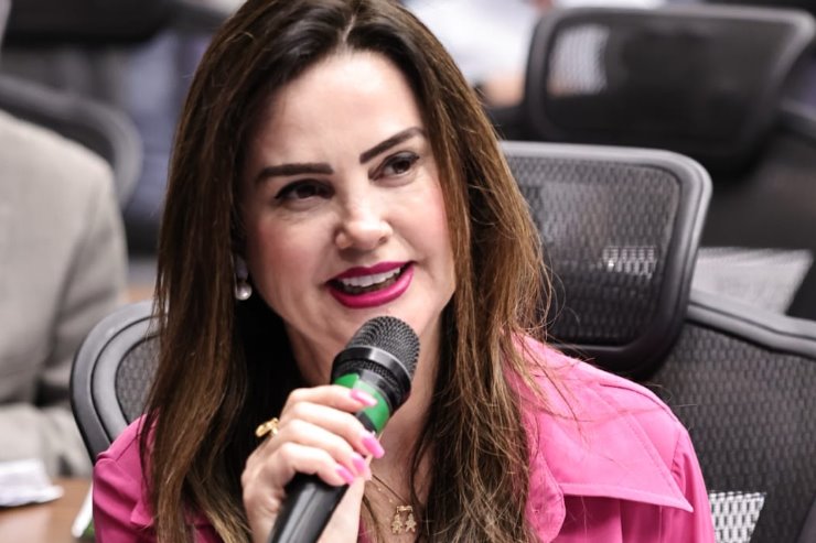 A deputada estadual Mara Caseiro (PSDB)